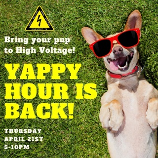 ⚡️Thursday, April 21st⚡️
::
🐶 YAPPY HOUR IS BACK!
We’ve missed seeing you guys and your pups! Join us and @thetruckycheese starting at 5pm! 🧀🍻