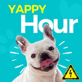 ⚡️Thursday, June 16th⚡️
::
🐶 YAPPY HOUR 🐶
Bring your pups to down and let them cool off in our kiddie pools while you enjoy a pint with us! 💦🍻
🥔 @bakedandloaded18 will be joining us for dinner starting at 5pm!